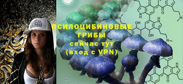 спиды Абаза