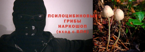 спиды Абаза
