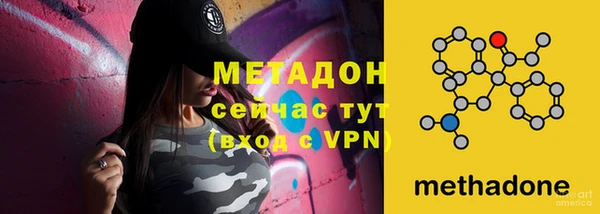 прущие грибы Ельня