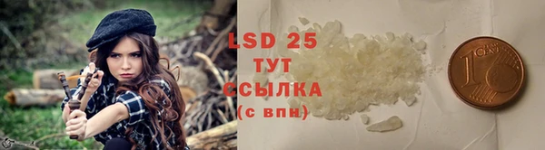спиды Абаза