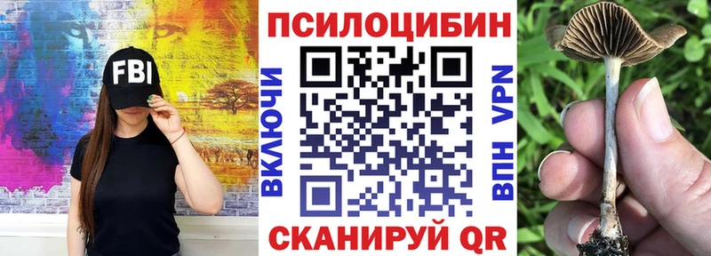 Псилоцибиновые грибы мицелий Холм